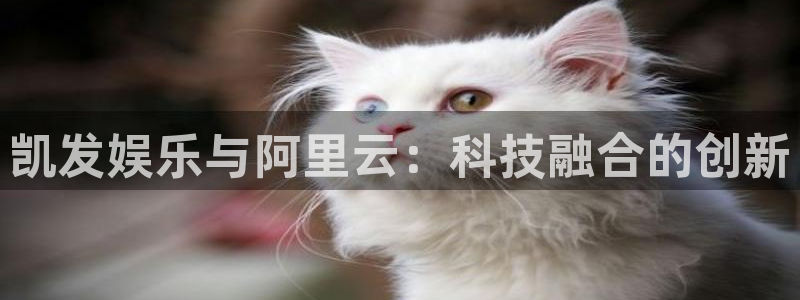 2元彩票登录：凯发娱乐与阿里云：科技融合的创新