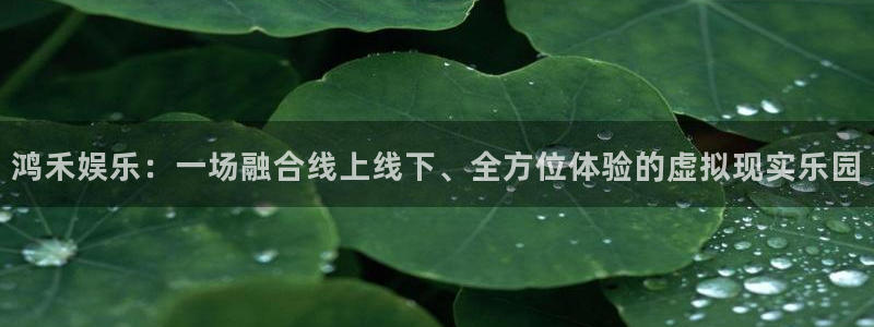 2元彩票体育娱乐注册链接：鸿禾娱乐：一场融合线上线下、全方位体验的虚拟现实乐园