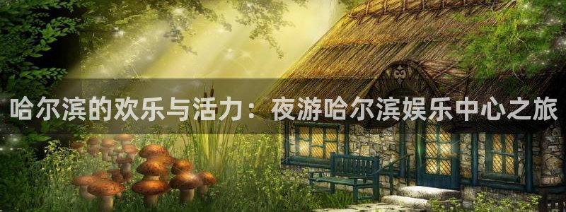 2元彩票平台：哈尔滨的欢乐与活力：夜游哈尔滨娱乐中心之旅