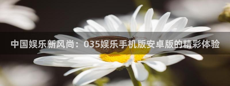2元彩票3登陆：中国娱乐新风尚：035娱乐手机版安卓版的精彩体验