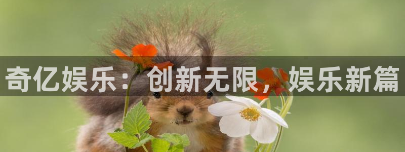 2元网走势图大全：奇亿娱乐：创新无限，娱乐新篇
