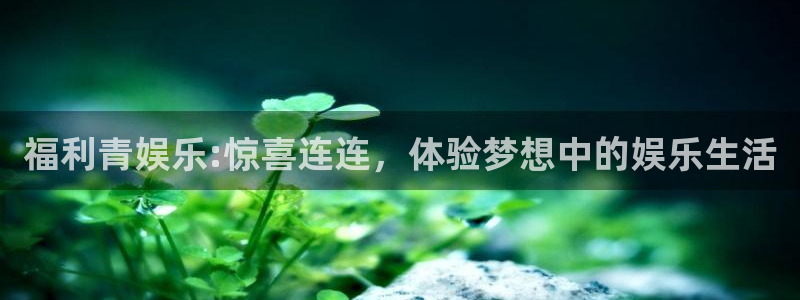 2元彩票招商：福利青娱乐:惊喜连连，体验梦想中的娱乐生活