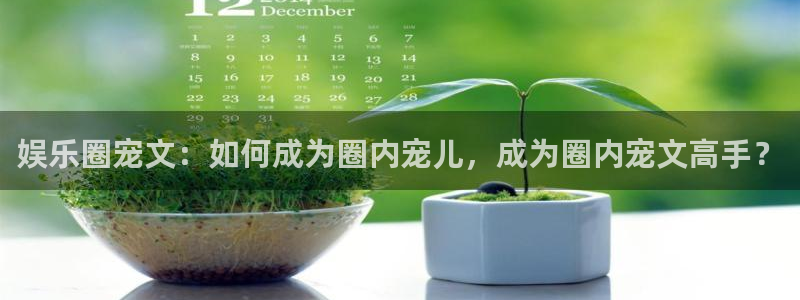 2元彩票登录：娱乐圈宠文：如何成为圈内宠儿，成为圈内宠文高手？