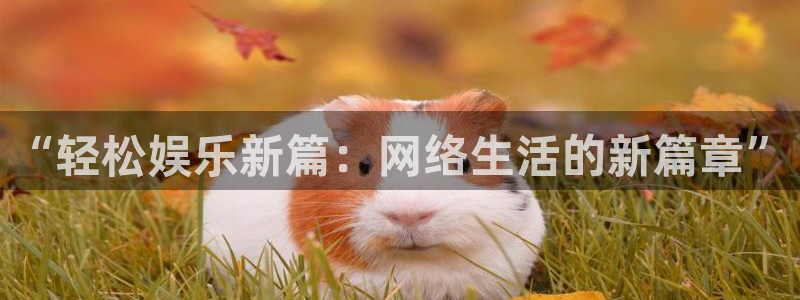 2元彩票体育网页版入口：“轻松娱乐新篇：网络生活的新篇章”