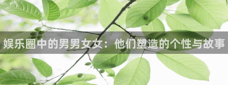 2元网河南二十二选五：娱乐圈中的男男女女：他们塑造的个性与故事