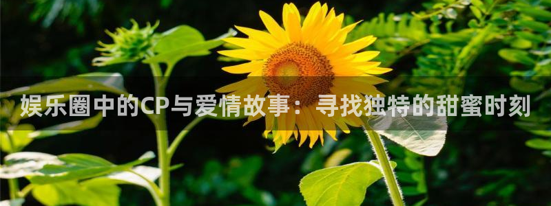 2元彩票官网：娱乐圈中的CP与爱情故事：寻找独特的甜蜜时刻