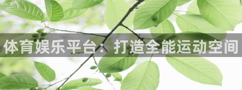 2元彩票体育平台开号链接：体育娱乐平台：打造全能运动空间