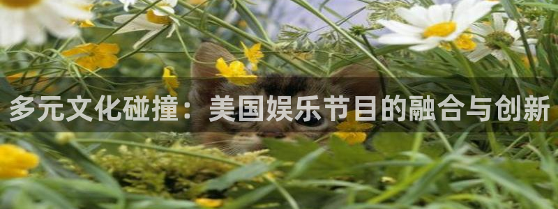 2元彩票体育凯捷平台注册：多元文化碰撞：美国娱乐节目的融合与创新