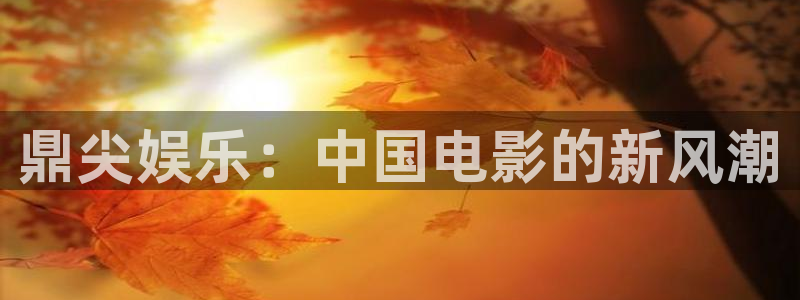 2元彩票：鼎尖娱乐：中国电影的新风潮