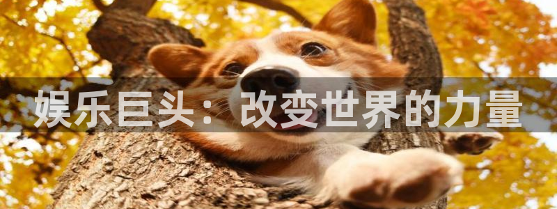 2元彩票代理：娱乐巨头：改变世界的力量