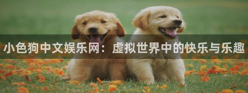 2元彩票体育2：小色狗中文娱乐网：虚拟世界中的快乐与乐趣