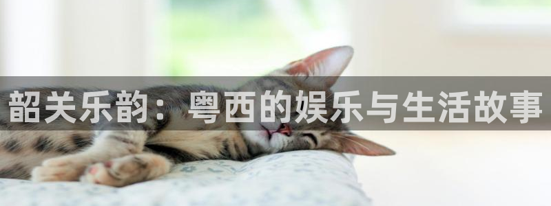 2元彩票2注册：韶关乐韵：粤西的娱乐与生活故事
