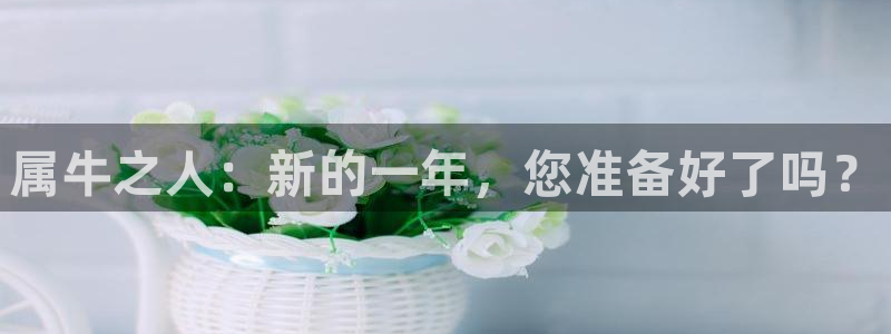 2元彩票体育热门赛事有哪些