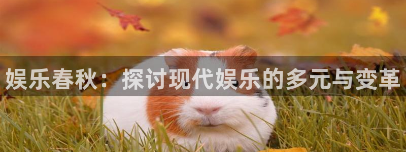 2元彩票体育凯捷平台主管：娱乐春秋：探讨现代娱乐的多元与变革