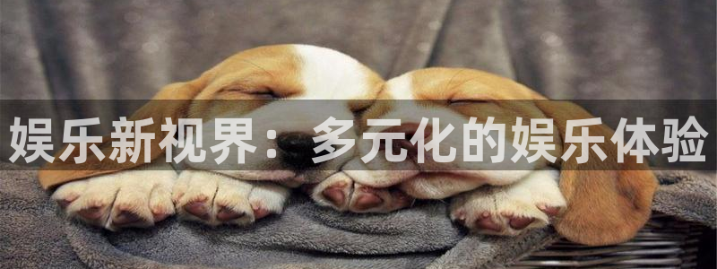 2元彩票体育娱乐注册链接：娱乐新视界：多元化的娱乐体验