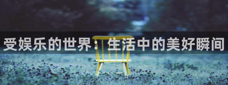 2元彩票：受娱乐的世界：生活中的美好瞬间