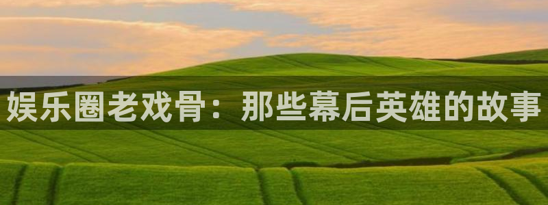 2元彩票体育注册代理：娱乐圈老戏骨：那些幕后英雄的故事
