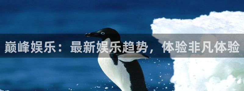 2元彩票体育官网：巅峰娱乐：最新娱乐趋势，体验非凡体验