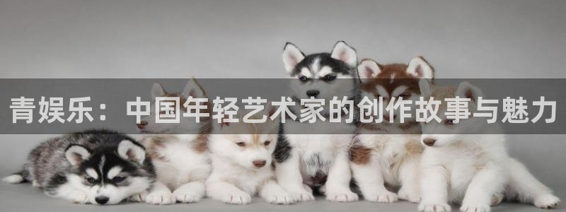 2元网河南二十二选五开奖号码：青娱乐：中国年轻艺术家的创作故事与魅力