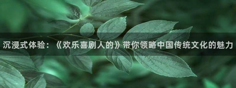 2元彩票f凯捷平台在线注册：沉浸式体验：《欢乐喜剧人的》带你领略中国传统文化的魅力