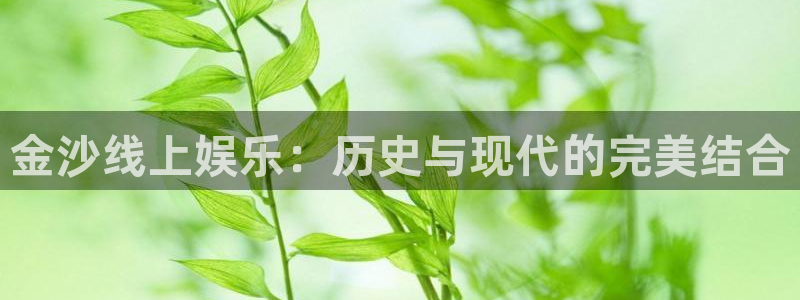 2元彩票集团总部：金沙线上娱乐：历史与现代的完美结合